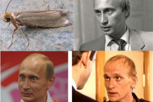 Почему не могу зайти на кракен