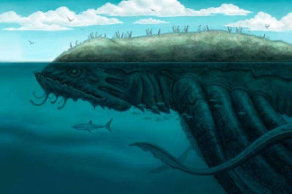 Kraken 20at net