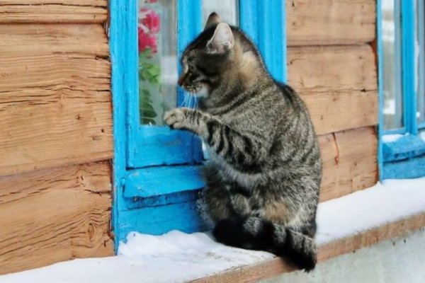 Как зайти на маркетплейс кракен