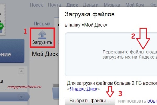 Гидра и кракен