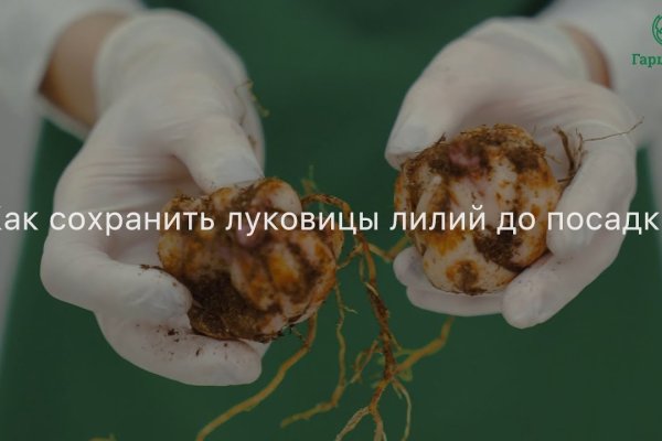 Вход в кракен даркнет