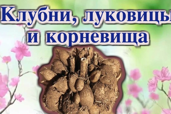 Кракен как войти через тор