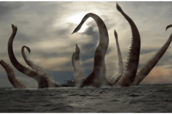 Kraken20 at