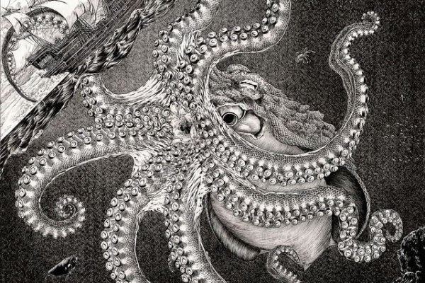Kraken 23 at