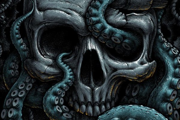 Kraken 24 top