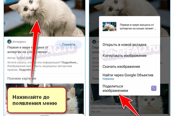 Кракен сайт дарк нет