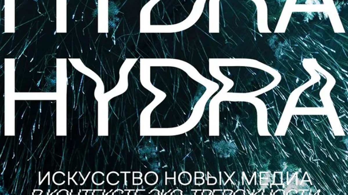 Кракен сайт ссылка тор браузере