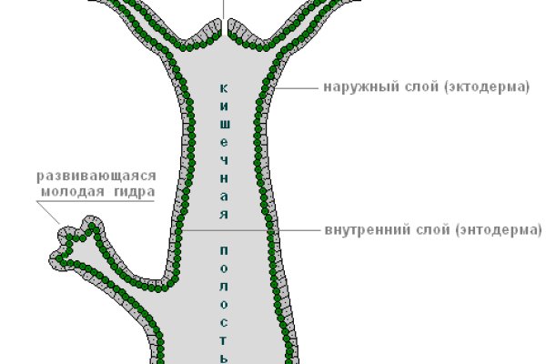Kra46.cc